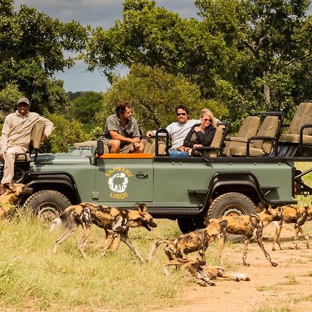 Kambaku Safari Lodge Timbavati Game Reserve Zewnętrze zdjęcie