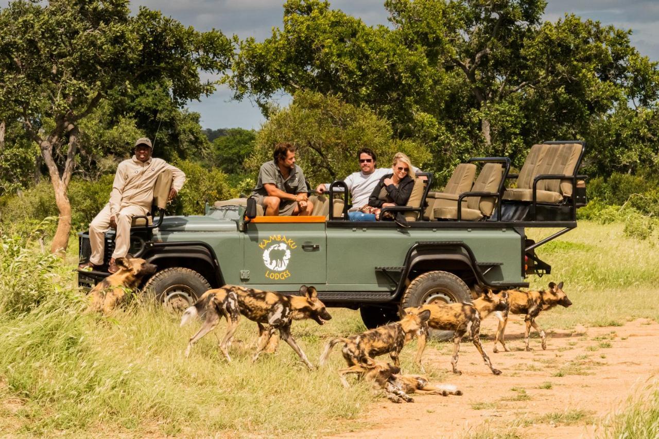 Kambaku Safari Lodge Timbavati Game Reserve Zewnętrze zdjęcie