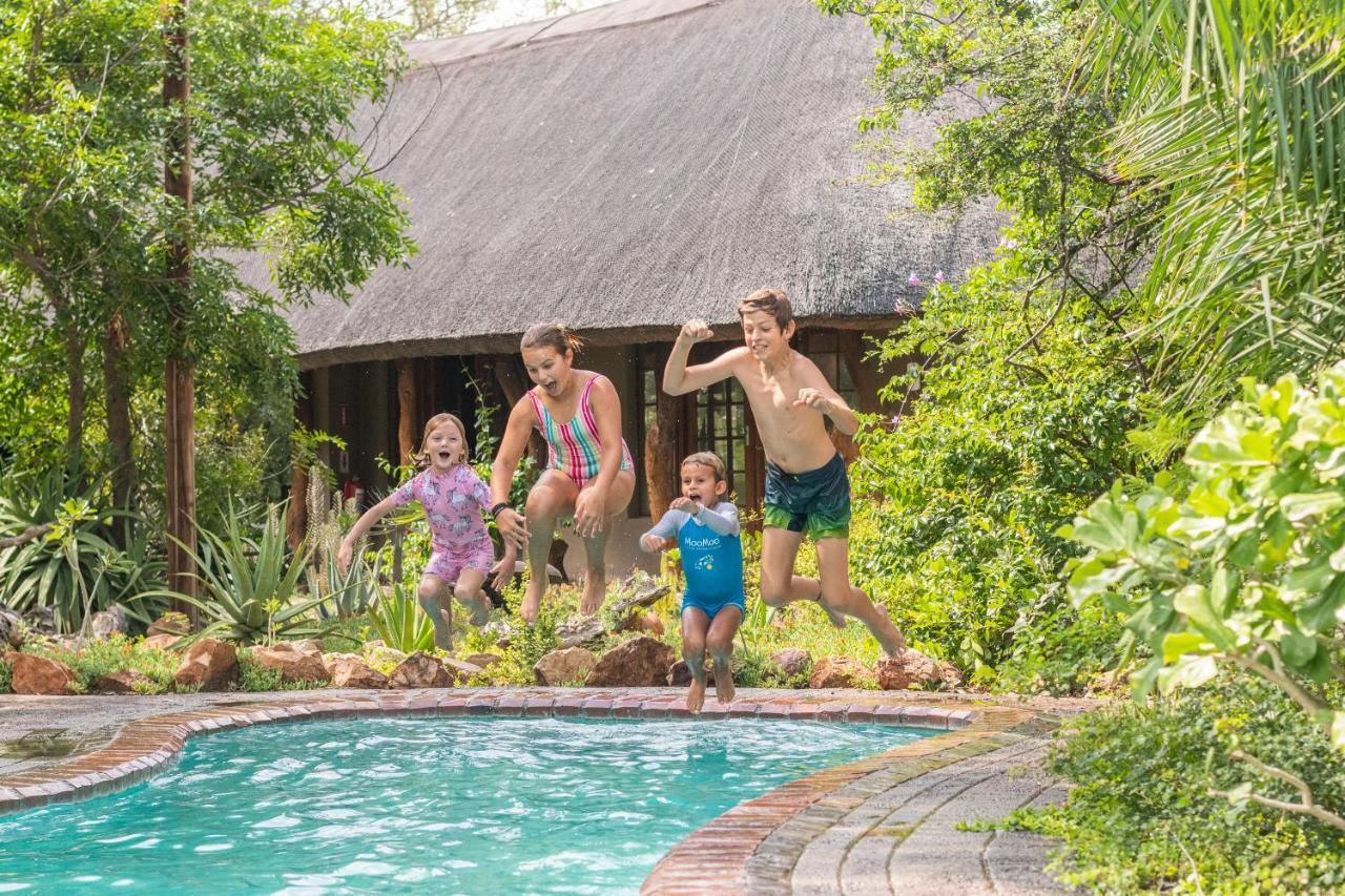 Kambaku Safari Lodge Timbavati Game Reserve Zewnętrze zdjęcie