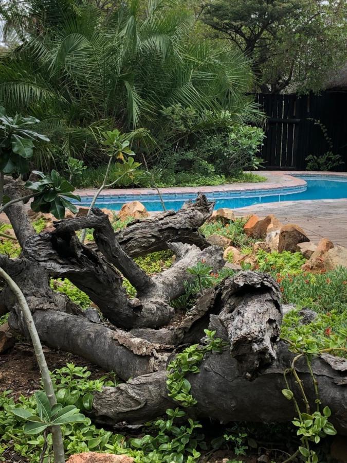 Kambaku Safari Lodge Timbavati Game Reserve Zewnętrze zdjęcie