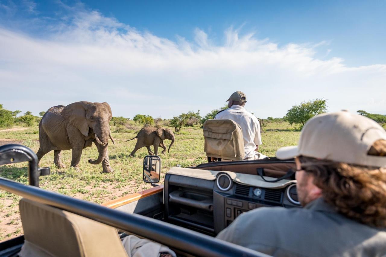 Kambaku Safari Lodge Timbavati Game Reserve Zewnętrze zdjęcie