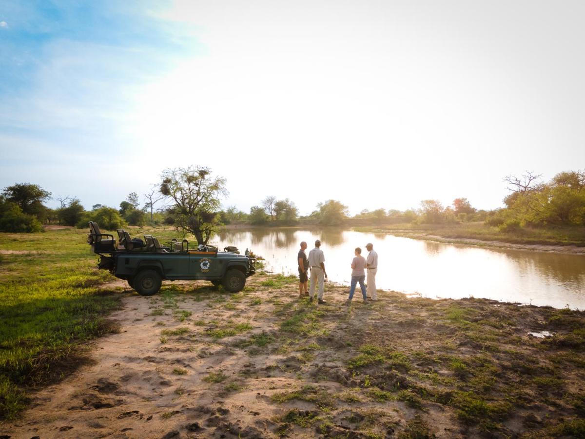 Kambaku Safari Lodge Timbavati Game Reserve Zewnętrze zdjęcie