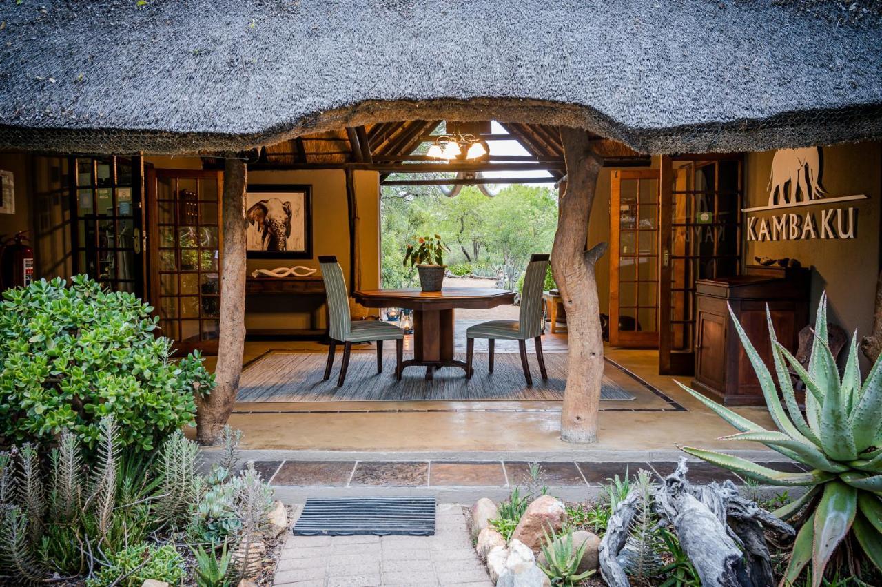 Kambaku Safari Lodge Timbavati Game Reserve Zewnętrze zdjęcie
