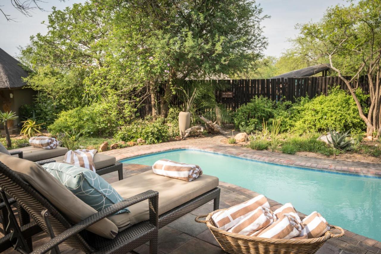Kambaku Safari Lodge Timbavati Game Reserve Zewnętrze zdjęcie