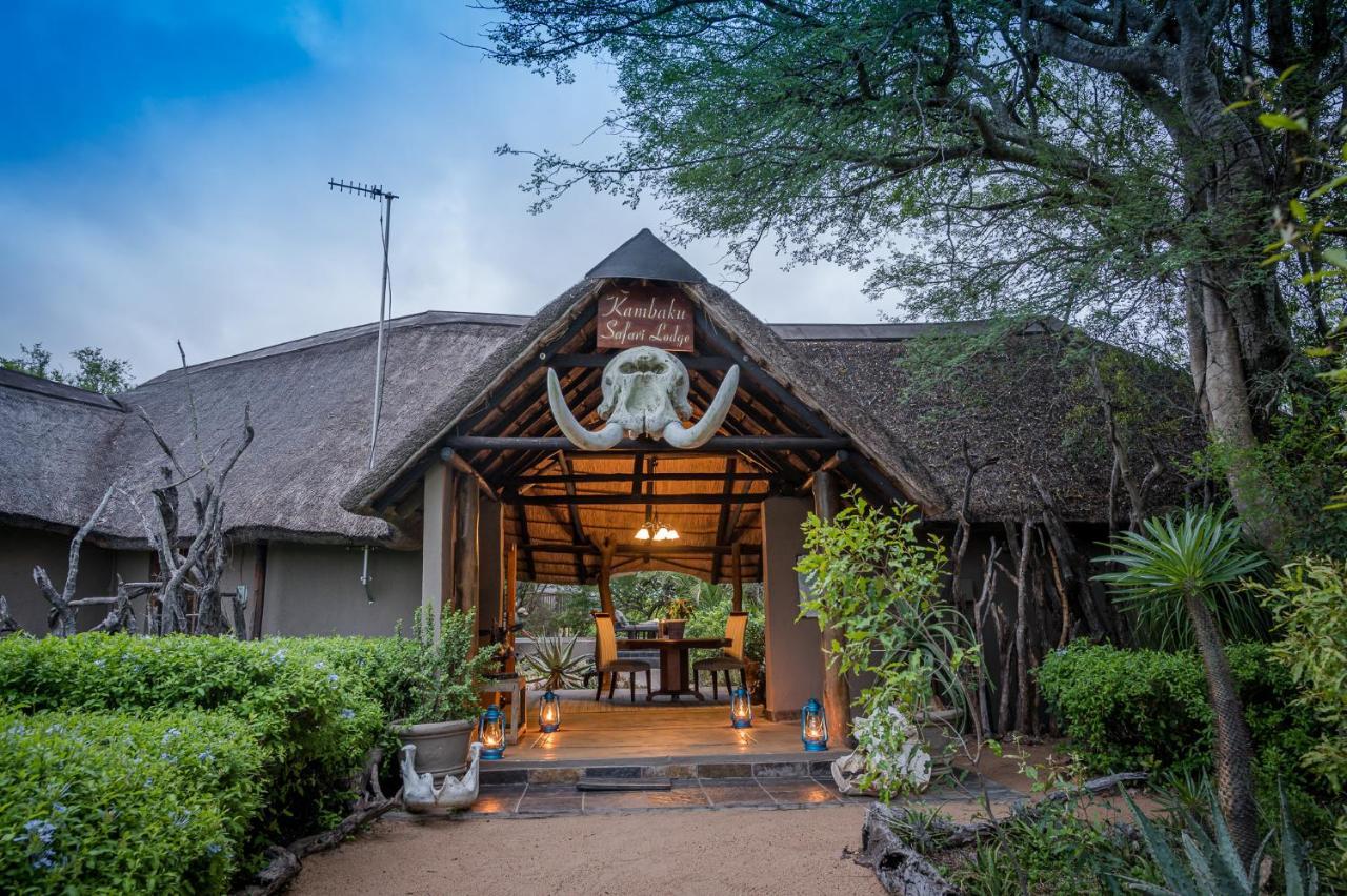 Kambaku Safari Lodge Timbavati Game Reserve Zewnętrze zdjęcie