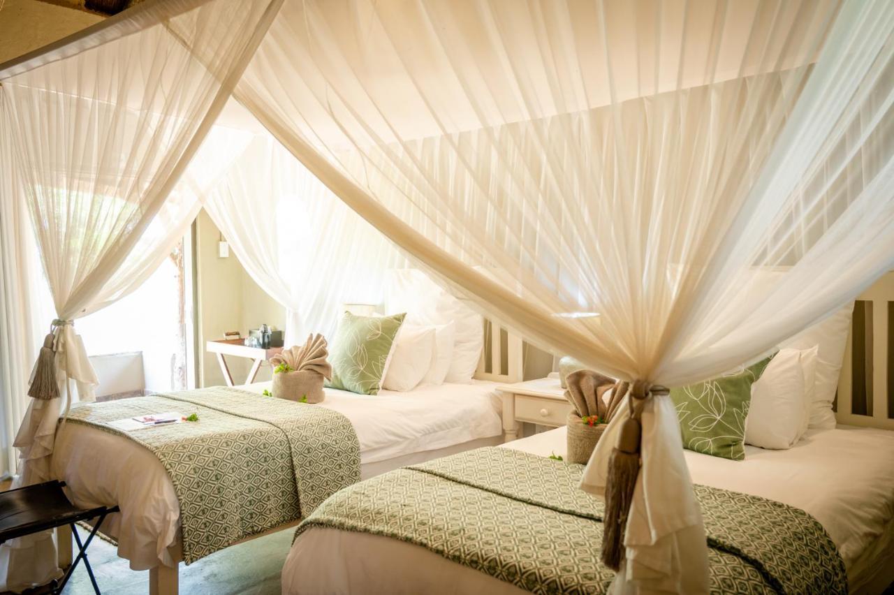 Kambaku Safari Lodge Timbavati Game Reserve Zewnętrze zdjęcie