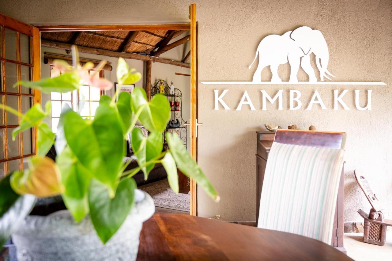 Kambaku Safari Lodge Timbavati Game Reserve Zewnętrze zdjęcie