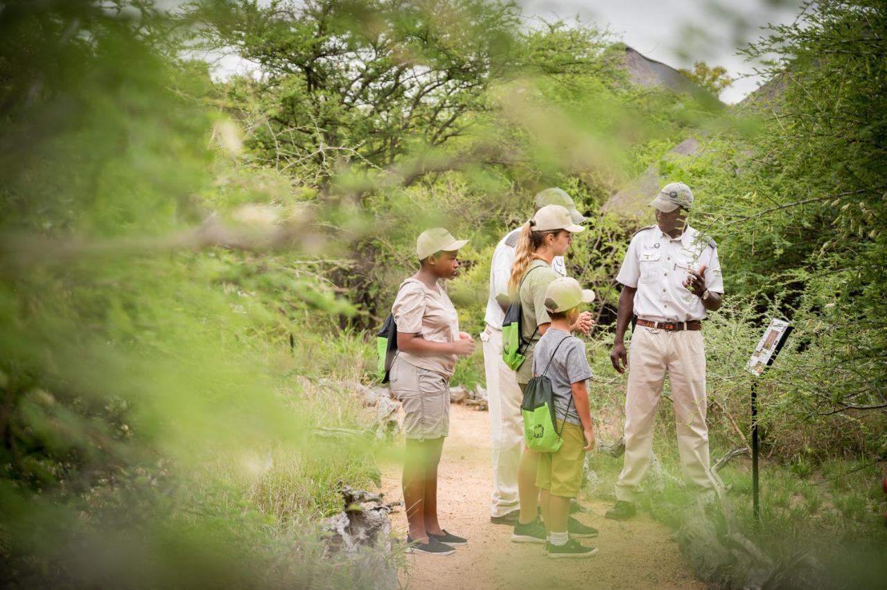 Kambaku Safari Lodge Timbavati Game Reserve Zewnętrze zdjęcie