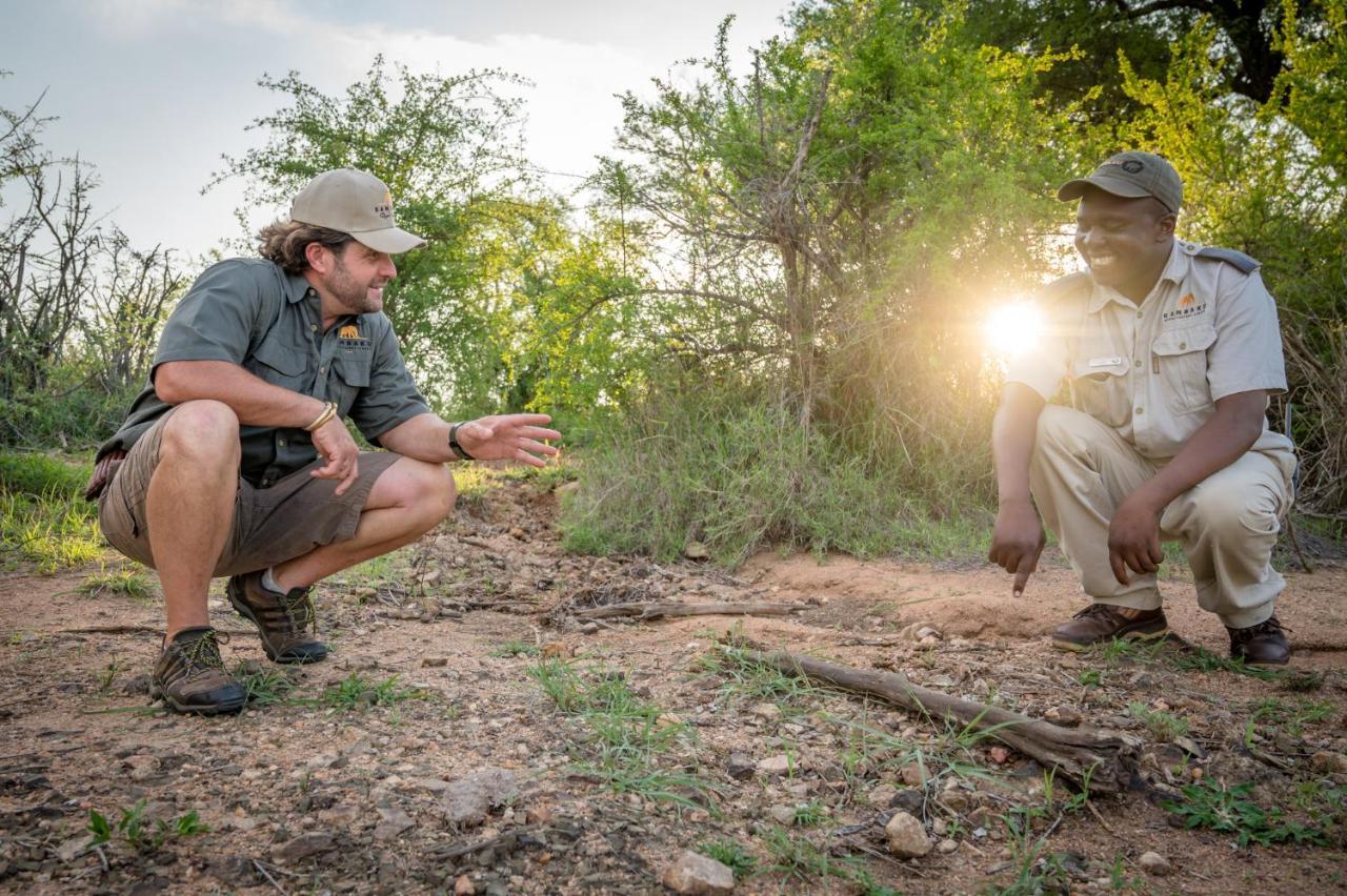 Kambaku Safari Lodge Timbavati Game Reserve Zewnętrze zdjęcie