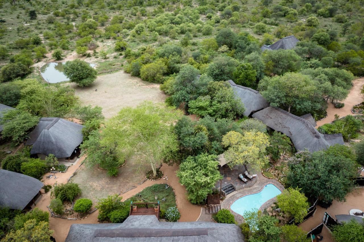 Kambaku Safari Lodge Timbavati Game Reserve Zewnętrze zdjęcie