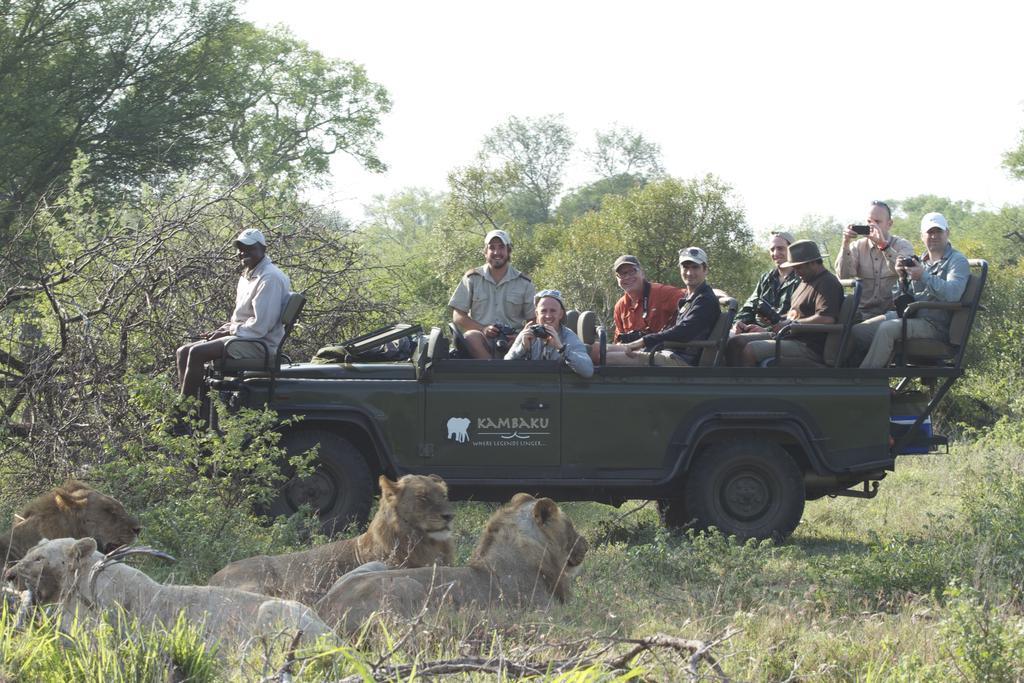 Kambaku Safari Lodge Timbavati Game Reserve Zewnętrze zdjęcie