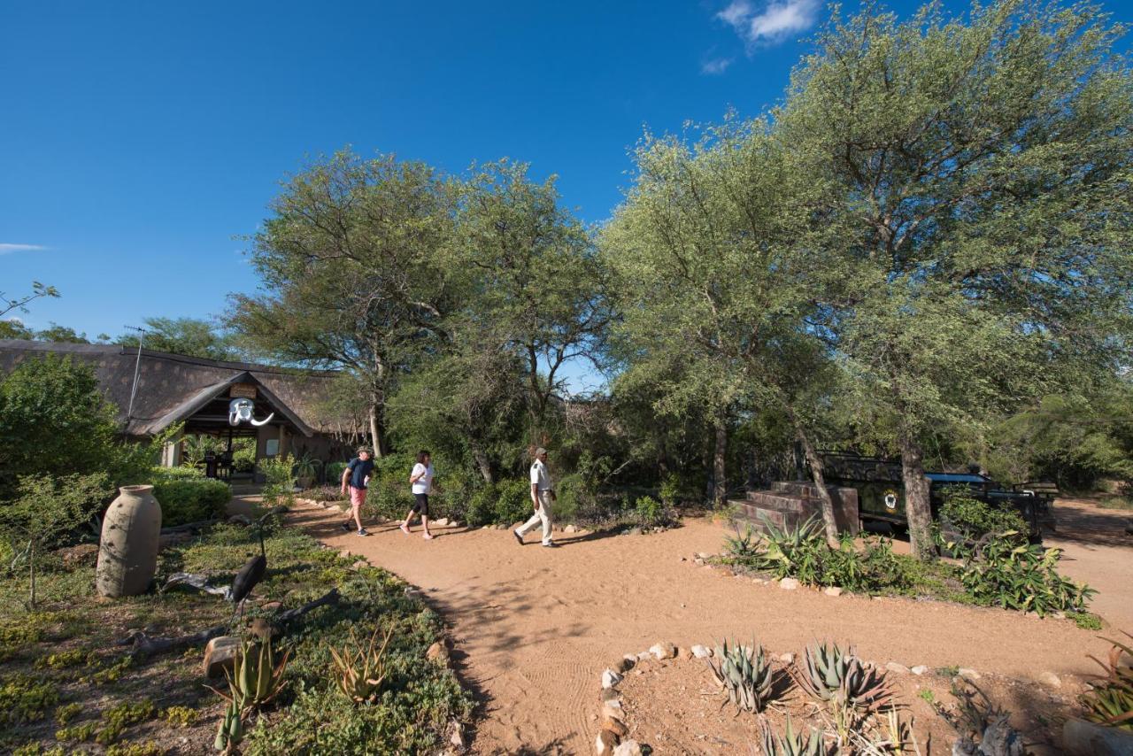 Kambaku Safari Lodge Timbavati Game Reserve Zewnętrze zdjęcie